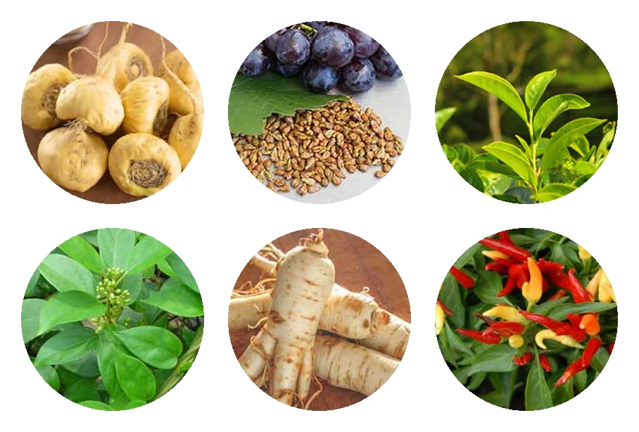 ZenCortex ingredients
